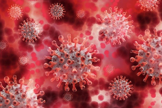 Study says IHU variant of Coronavirus not spreading far enough