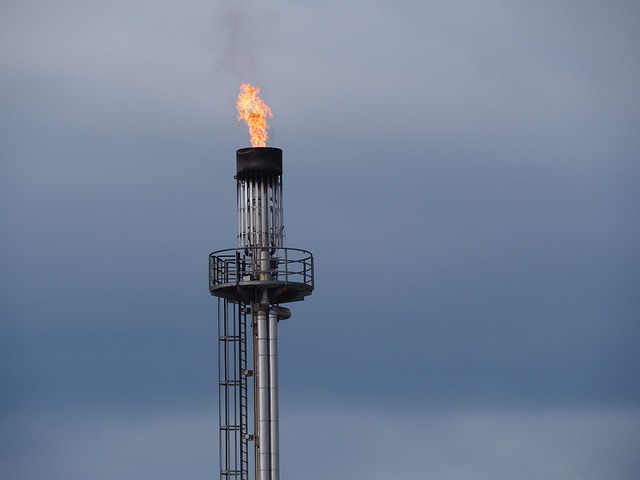 OPEC Plus to reduce the oil production